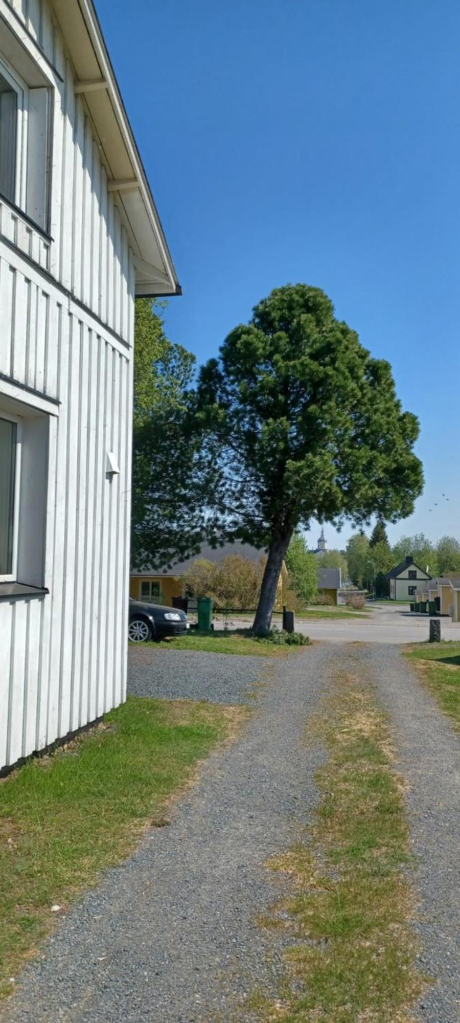 Vita Villan Haparanda  Exterior photo